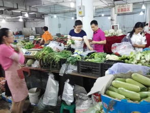 舌尖上的安全盾牌 我市全面開(kāi)展食用農(nóng)產(chǎn)品批發(fā)環(huán)節(jié)食品安全抽檢